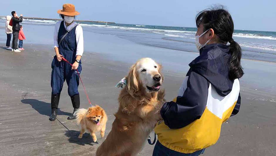 老犬ホーム九十九里パーク_介護風景(海岸)