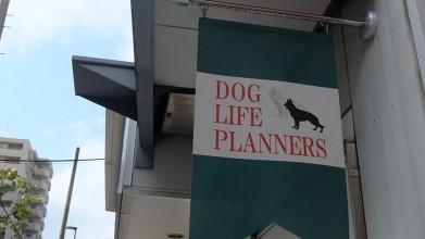 老犬ホームドッグライフプランナーズ新宿 看板