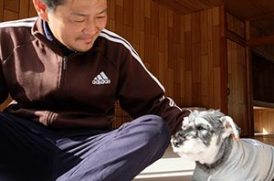 老犬ホームJiJi 介護風景