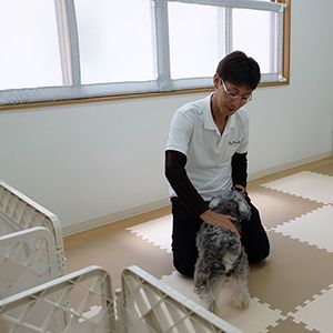 老犬ホームぬち・どぅ・たから 介護風景