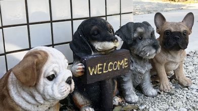 老犬ホームリリモナハウス_入口