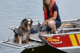 ボートに乗る犬