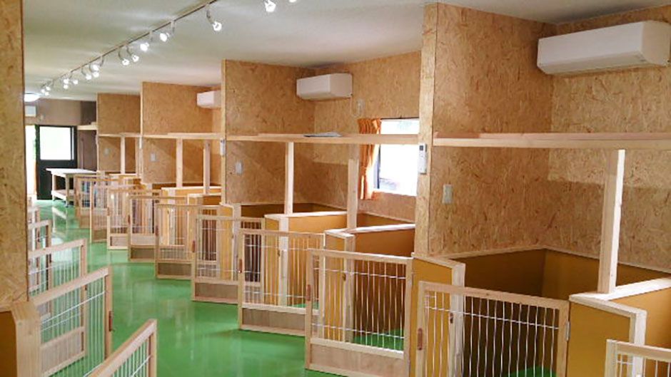 老犬ホーム スマイルフラワー_犬舎内観