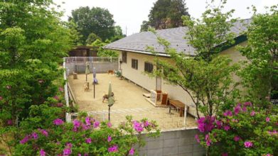 老犬ホーム花園牧場 ドッグラン