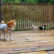 老犬ホームドッグハウスダディー_ウッドデッキ