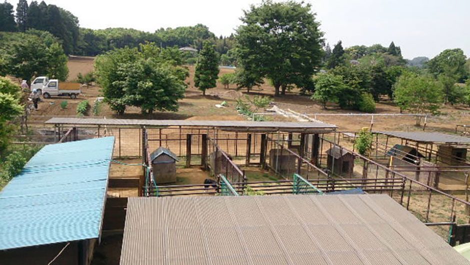 老犬ホーム花園牧場 外観