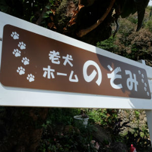 老犬ホームのぞみ看板