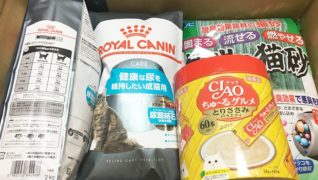 高齢猫専門移住受入施設 ちびママの家_お食事