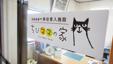 高齢猫移住受入施設ちびママの家_入口