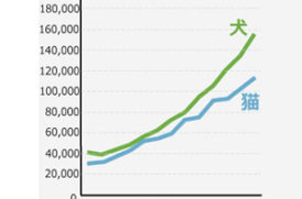 老犬の医療費