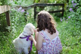 老犬と子供