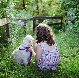 老犬と子供