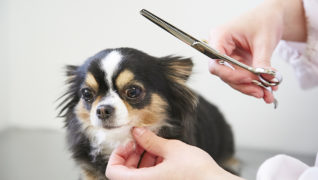 前橋そうぶつのウェルネスセンター_トリミング