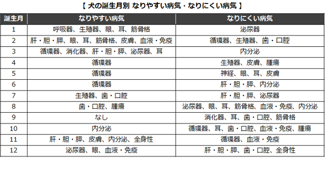 犬の誕生月別なりやすい病気・なりにくい病気