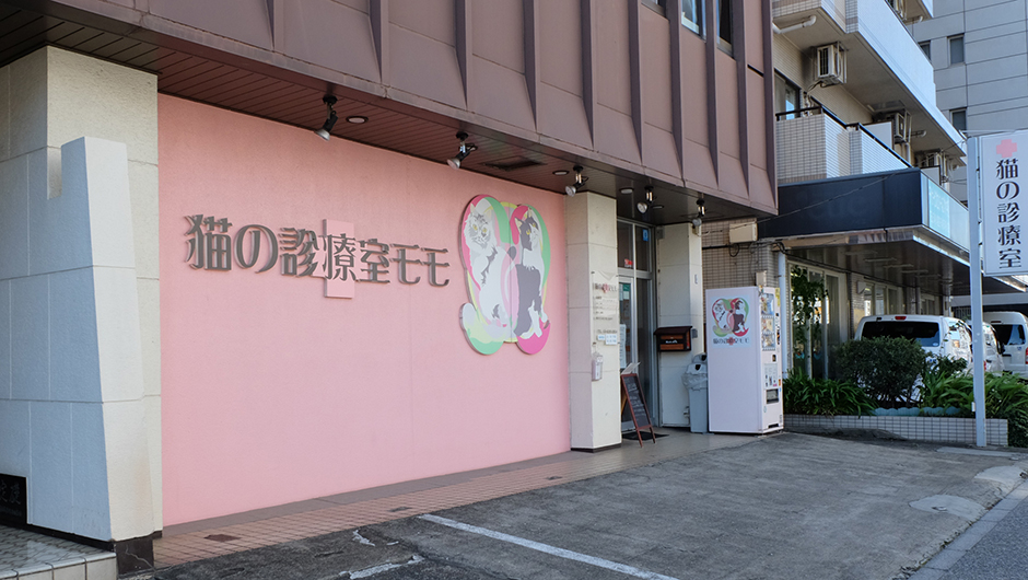 猫の診療室モモ_施設外観