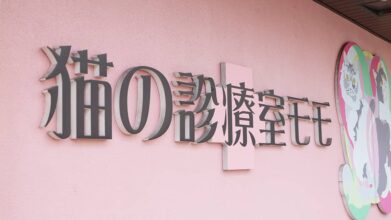 猫の診療室モモ_看板