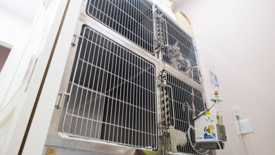 猫の診療室モモ_入院室