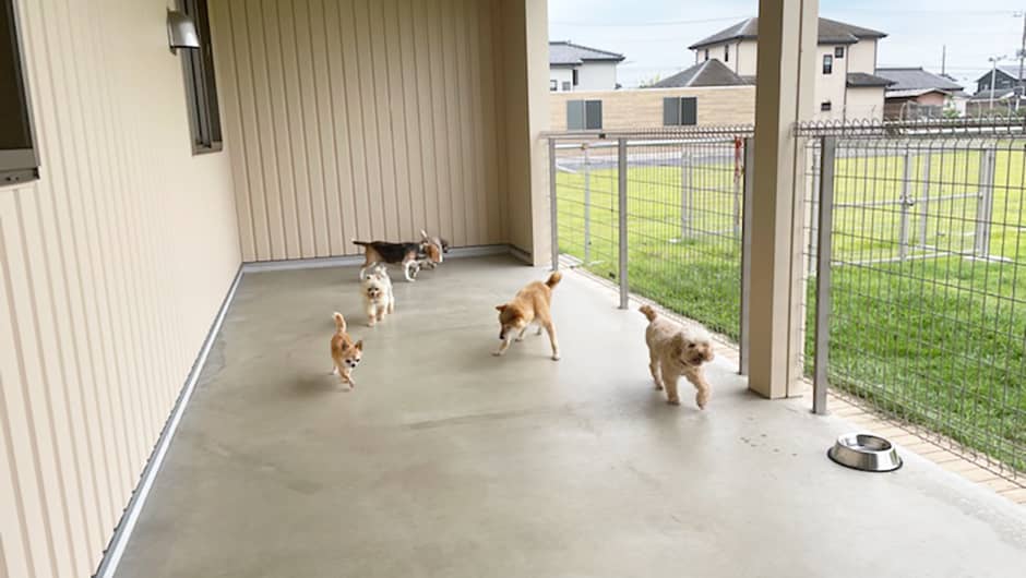 あにまるケアハウス_屋根付運動場