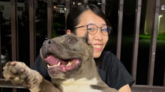 老犬ホームPinky_川邉 利温