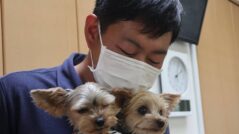 シニアドッグホームPinky_三嶋健二