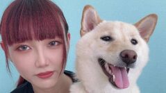 シニアドッグホームPinky_中本遥