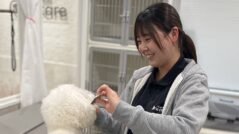 One Care_綿貫有沙