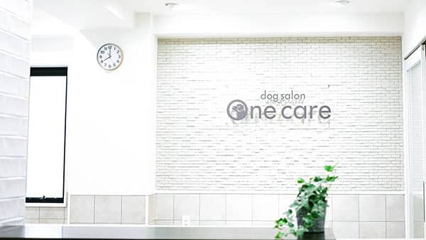 One care_受付