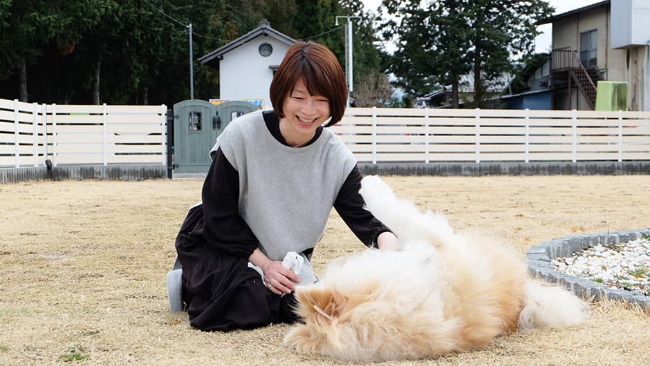 ドッグステイハウスdog S 長野県安曇野市 の施設概要 老犬ケア 老犬ホーム 老猫ホーム情報サイト