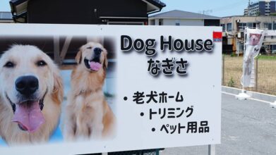 DogHouseなぎさ_看板