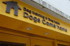 Dogs_Come_home看板