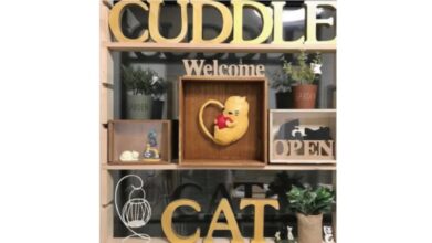 Cuddle Cat(カドル キャット)_介護風景 看板