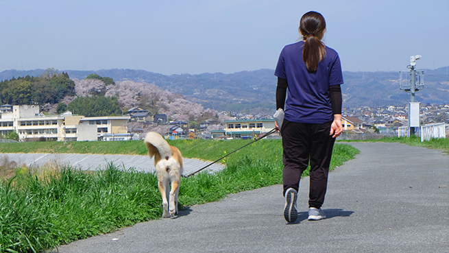 お散歩中の一コマ