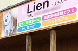 Lien りあん