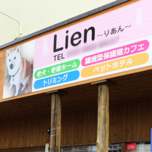 Lien りあん