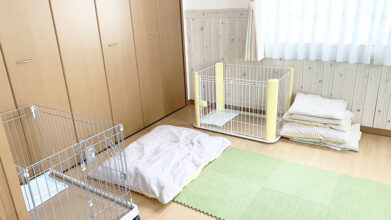 老犬ホームセタ_ワンちゃんのお部屋