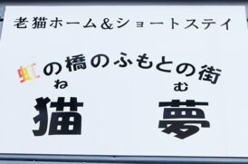 猫夢看板