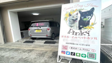 老犬ホームPinky(ピンキー)_施設外観