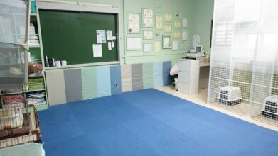 老犬介護ハイムフルエスト_室内フリースペース