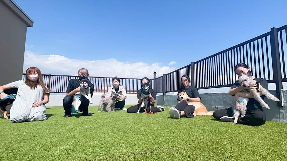 老犬ホームPinky_ドッグラン