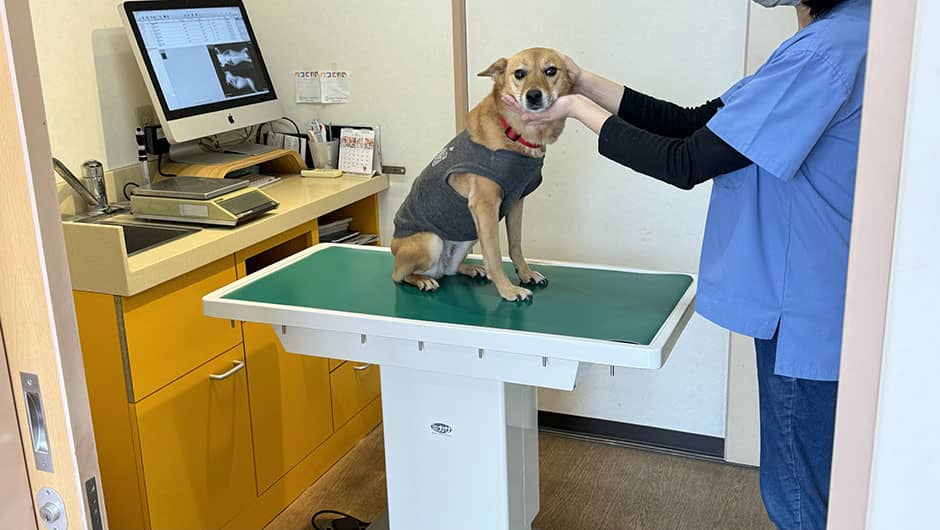 ささき動物病院 介護ペットホーム_診察室