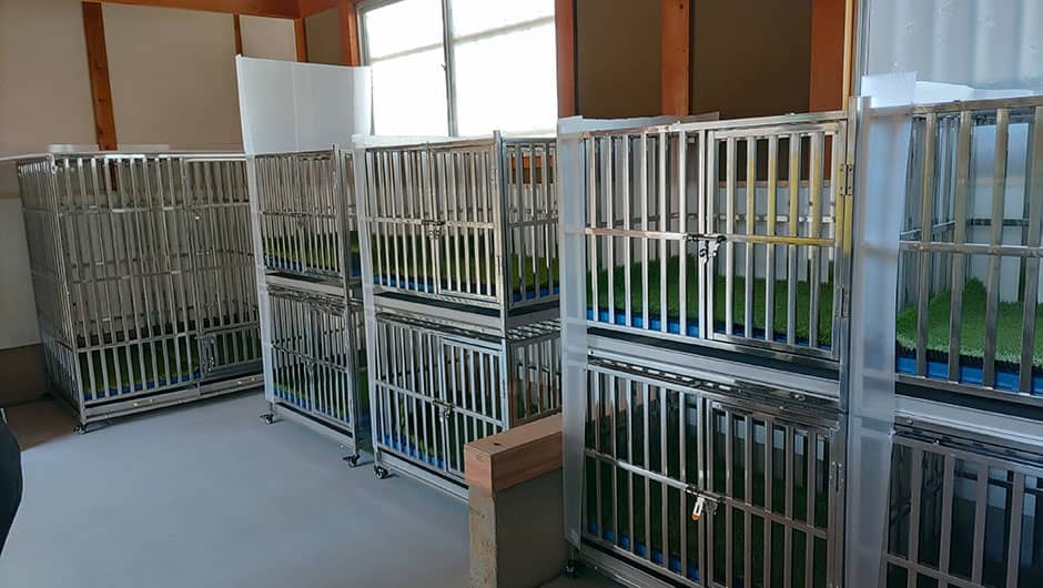 関西ドッグスクール_ワンちゃんのお部屋