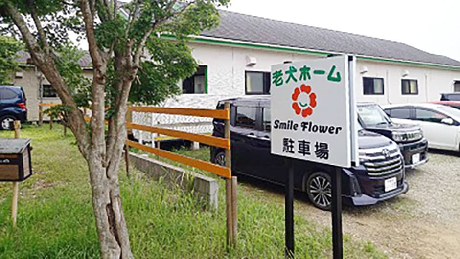老犬ホーム スマイルフラワー_駐車場