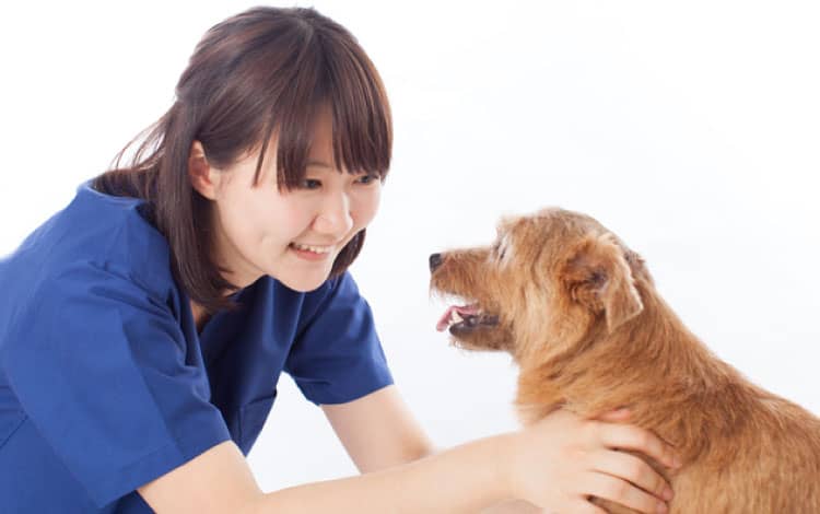 動物病院併設施設