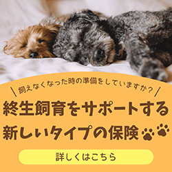 保険「たくす」バナー
