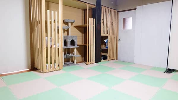 飼い主さんも安心 Catホッと_施設内観