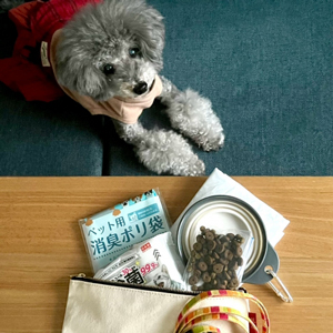 老犬と防災グッズ
