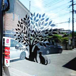 施設訪問記 保護猫カフェ＆老犬老猫ホーム Kaipooh_入口看板
