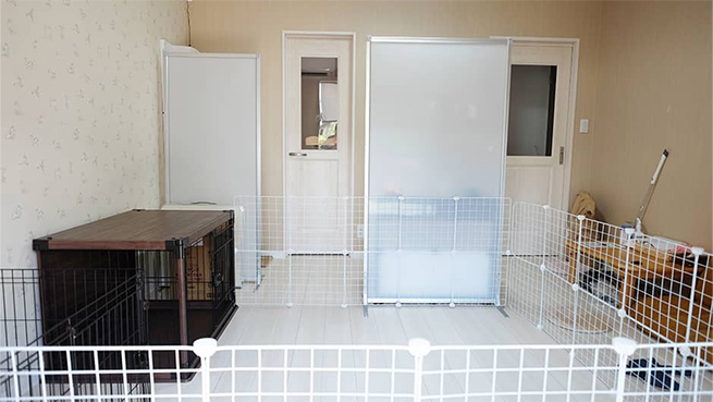 施設訪問記 保護猫カフェ＆老犬老猫ホーム Kaipooh_ワンちゃんのお部屋