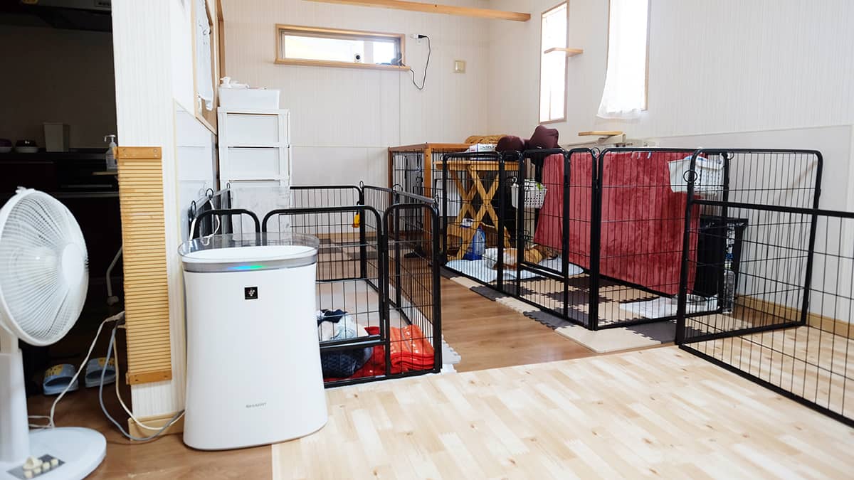 老犬介護ホームてるハウス_ワンちゃんのお部屋
