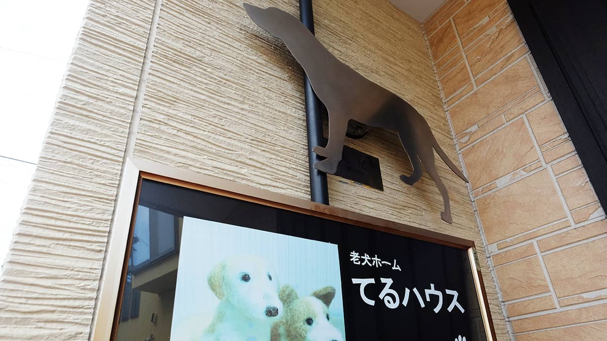 老犬介護ホームてるハウス_入口